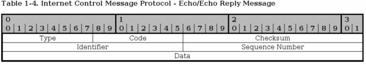 ICMP echo datagram